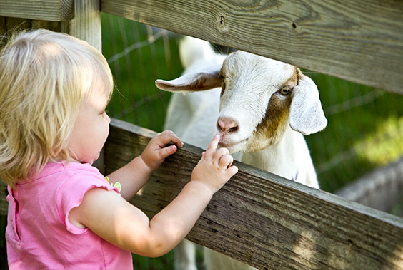 Kinderfeestje ideeën - VakantieVeilingen